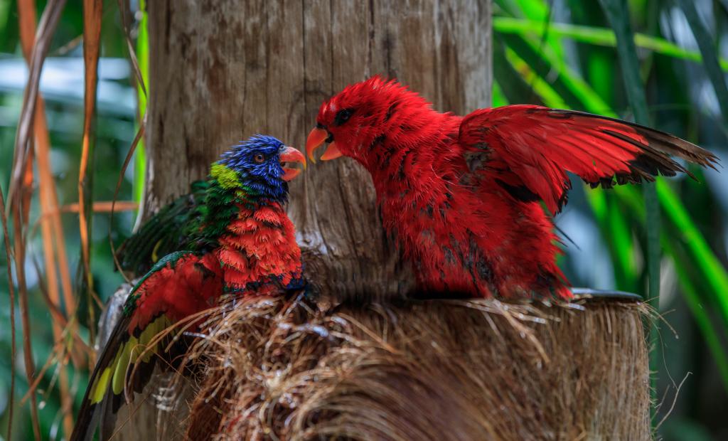 shutterstock_1546780412 (1).jpg