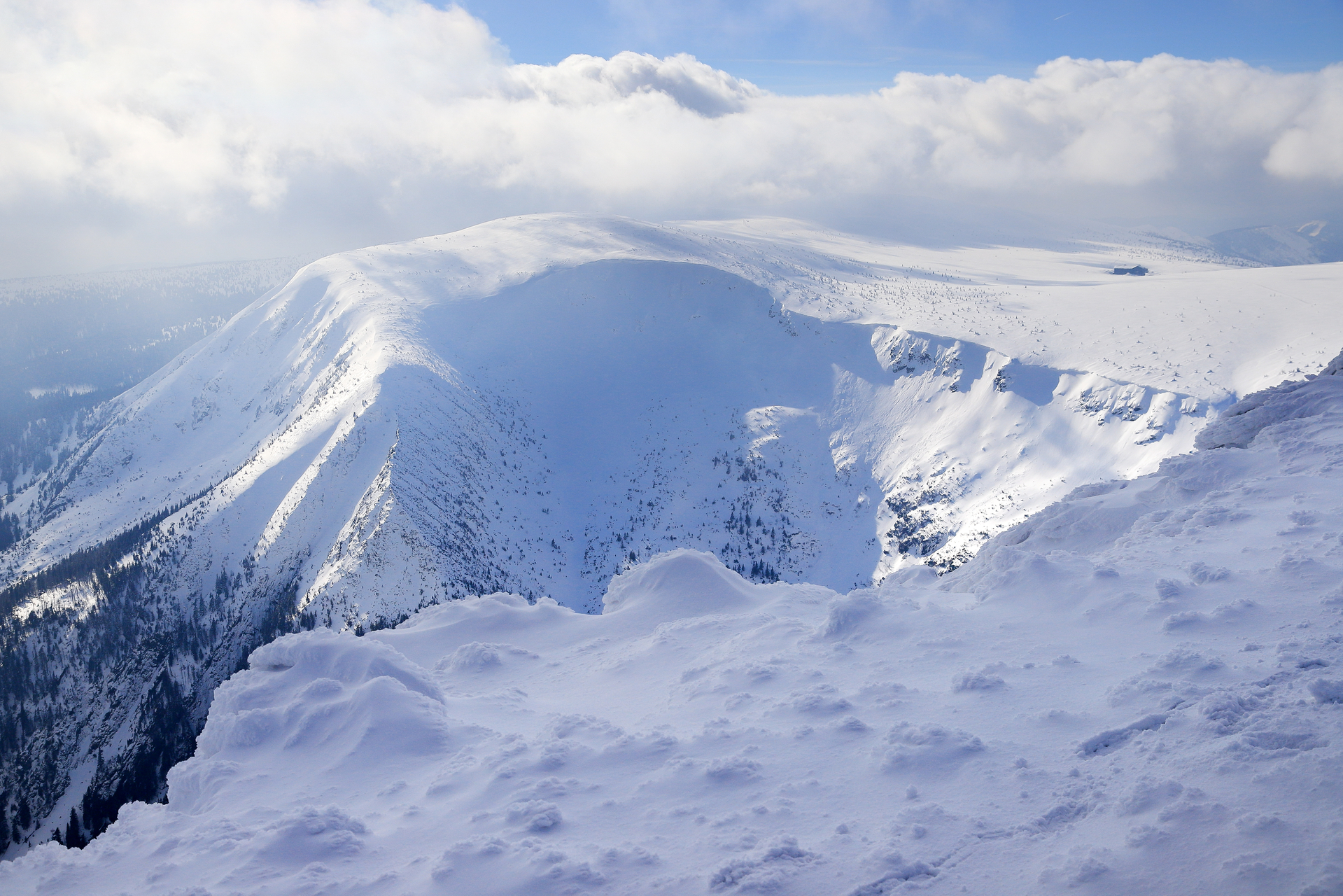 shutterstock_1705444576 (1).jpg