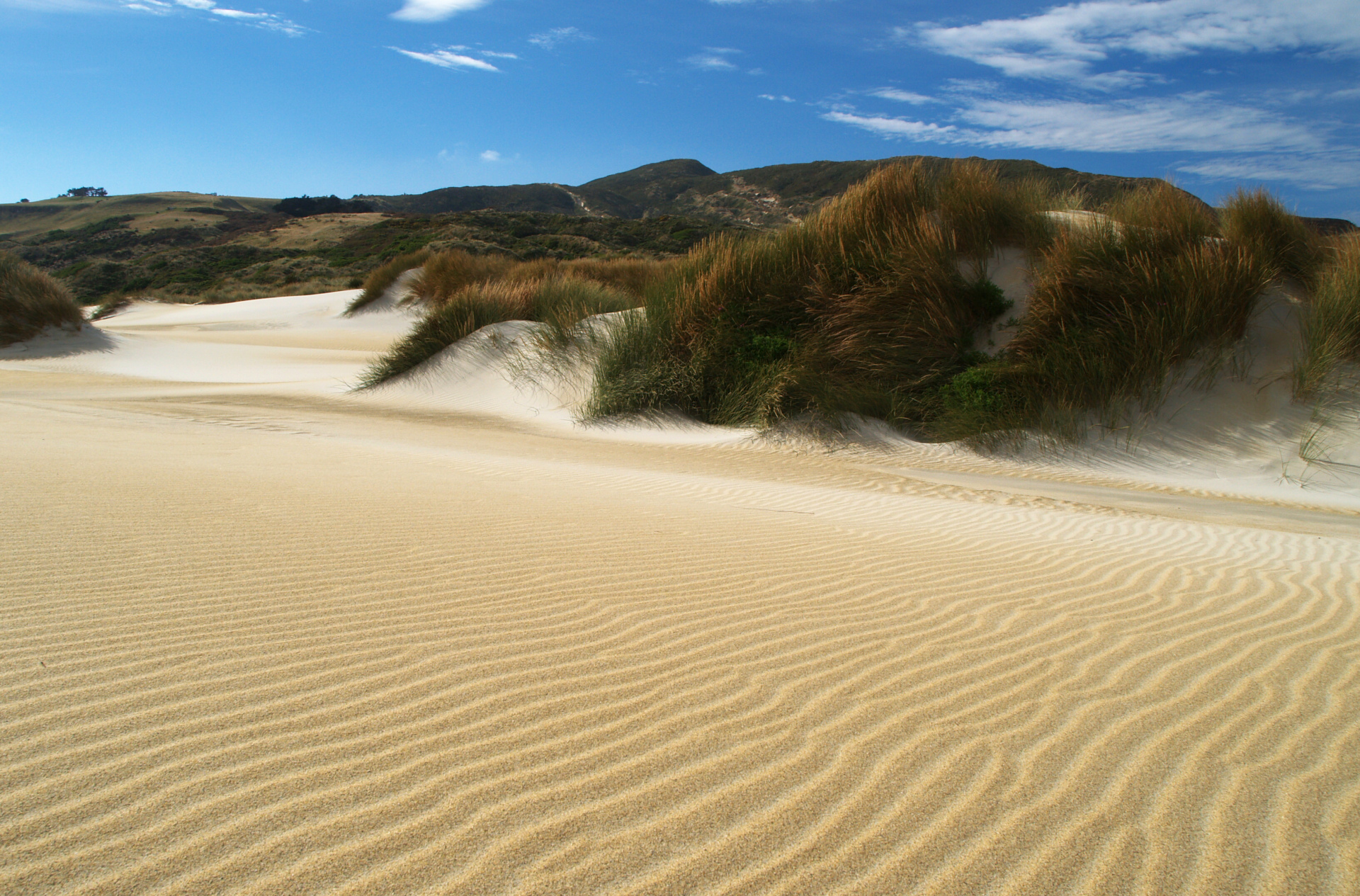 shutterstock_105173741 (1).jpg