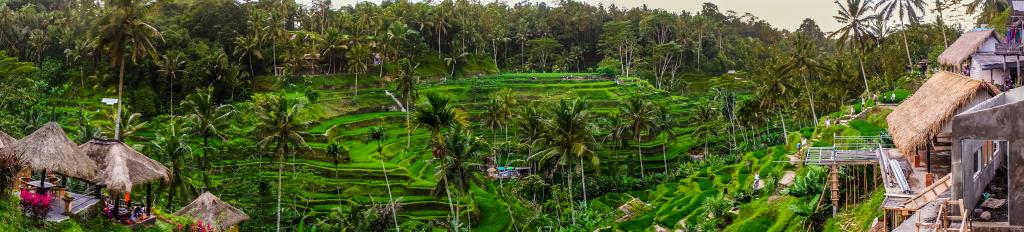 shutterstock_787734412 (1).jpg