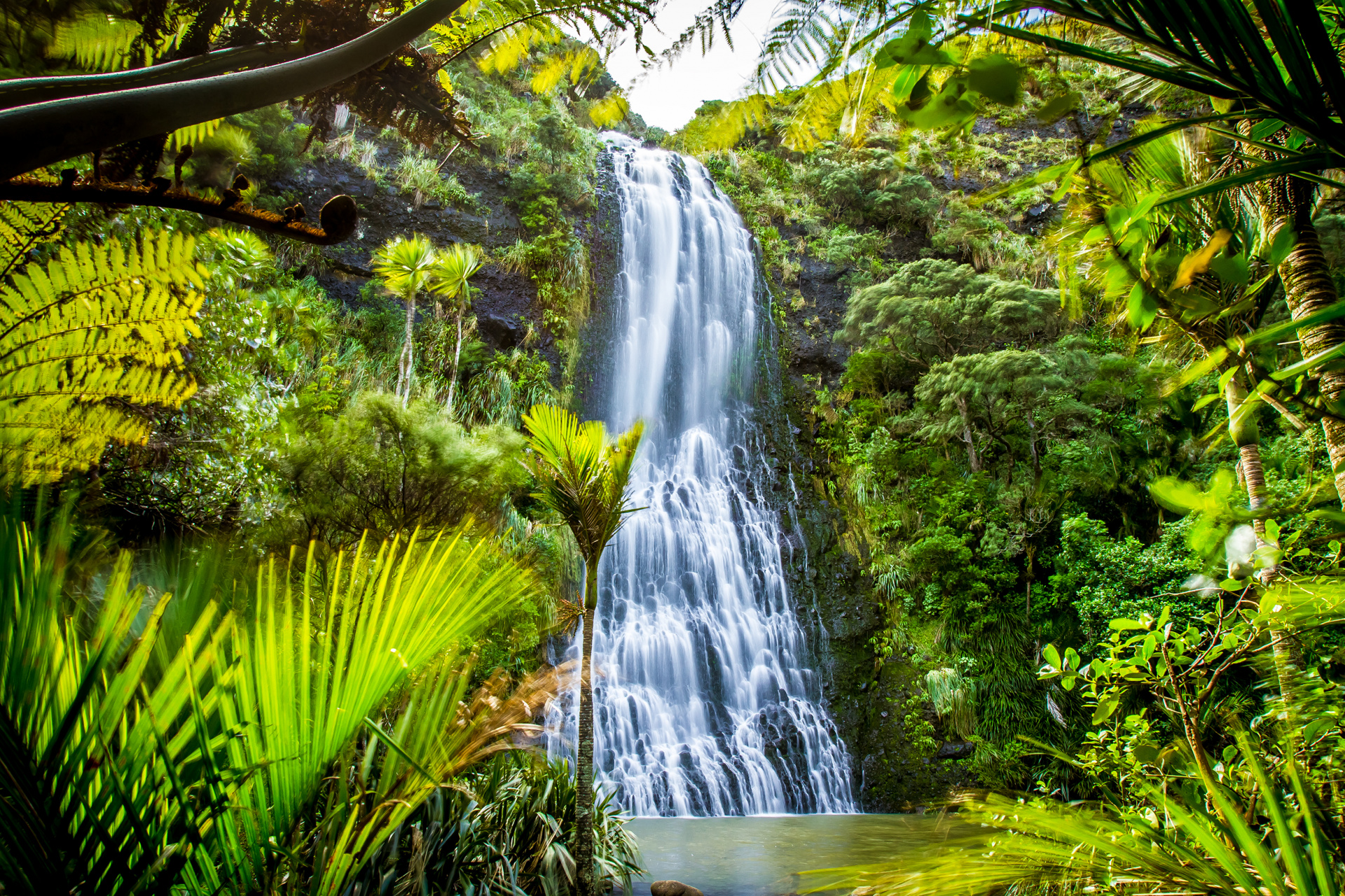 shutterstock_712946098 (1).jpg