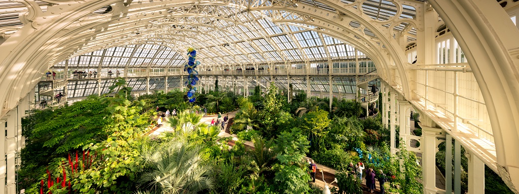 shutterstock_1538494652 (2).jpg