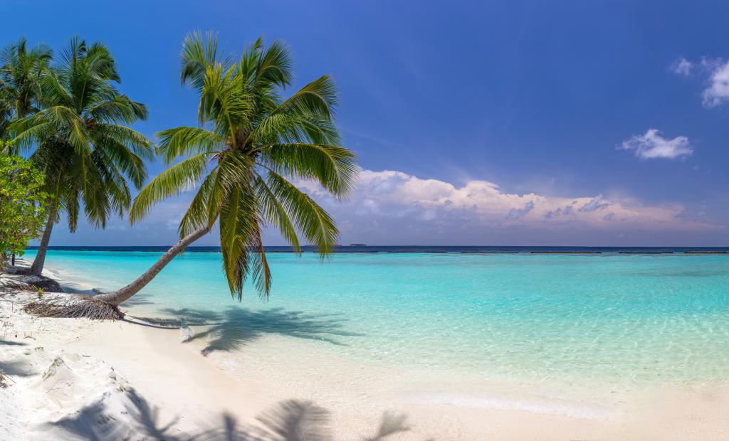 shutterstock_219672055 (1).jpg