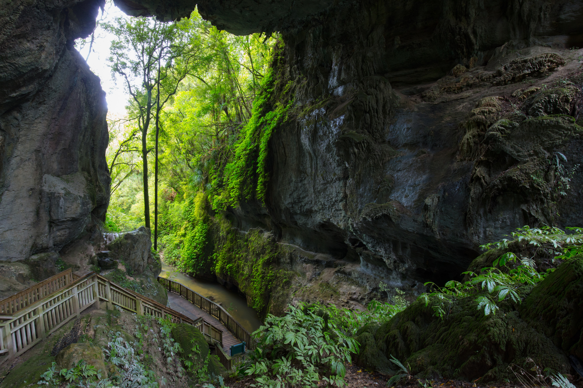 shutterstock_737578915 (1).jpg