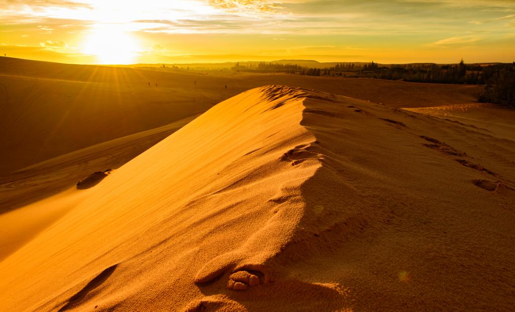 shutterstock_328058312 (1).jpg