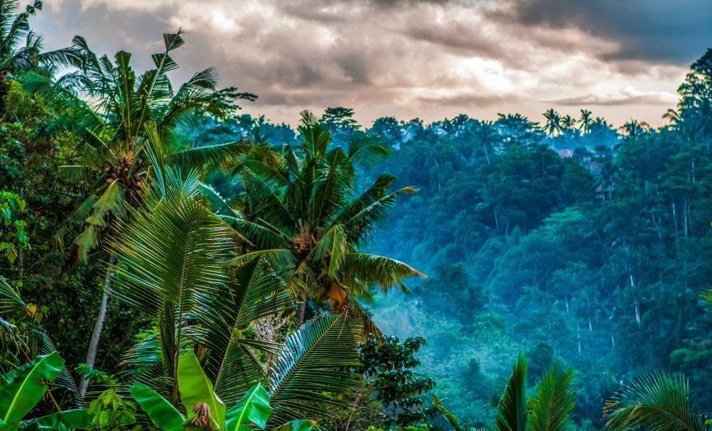 shutterstock_1036700944 (1).jpg