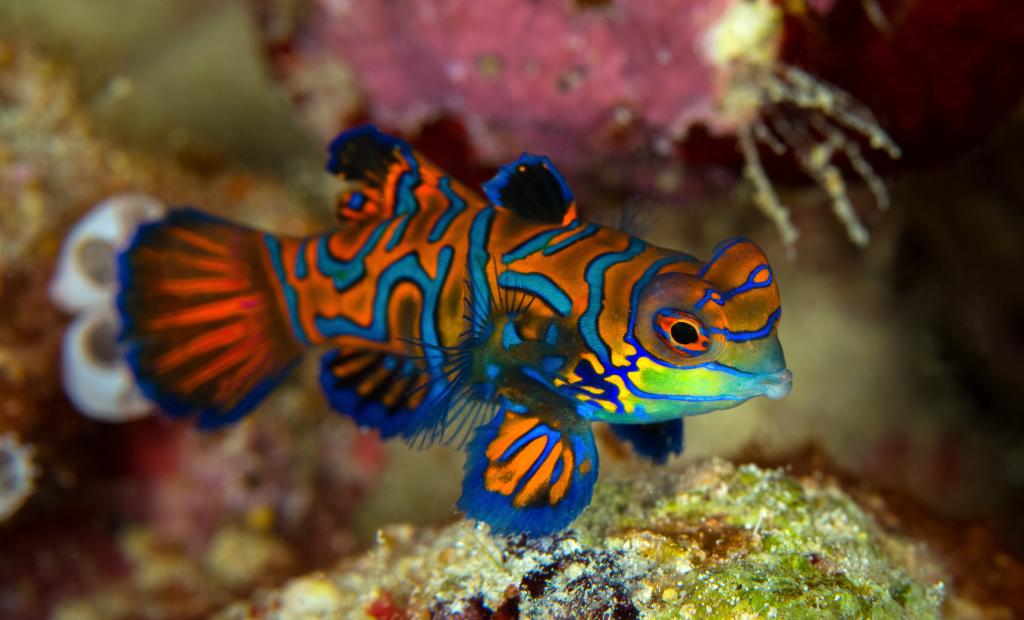 shutterstock_674386840 (1).jpg