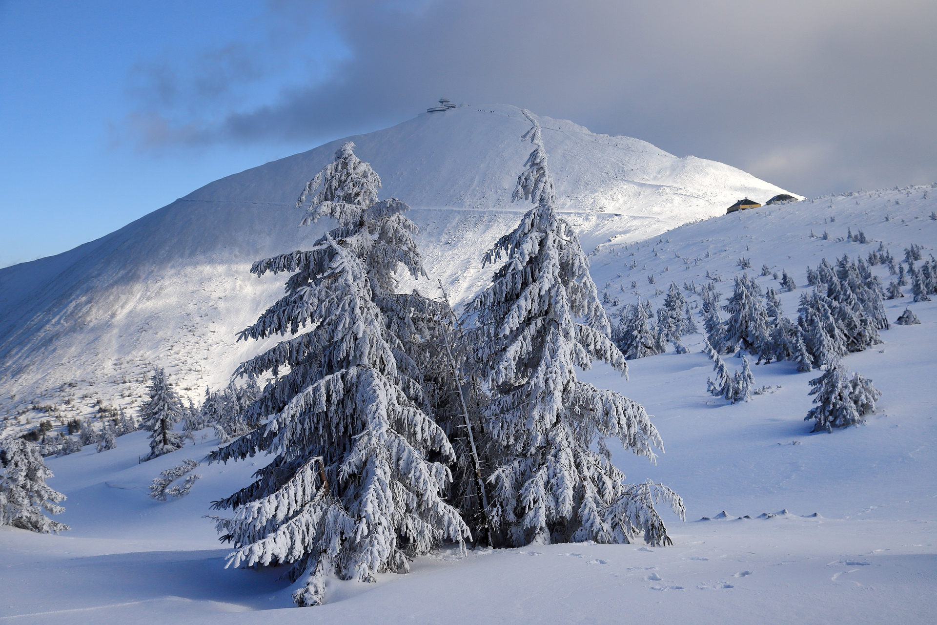 shutterstock_1707404164 (1).jpg