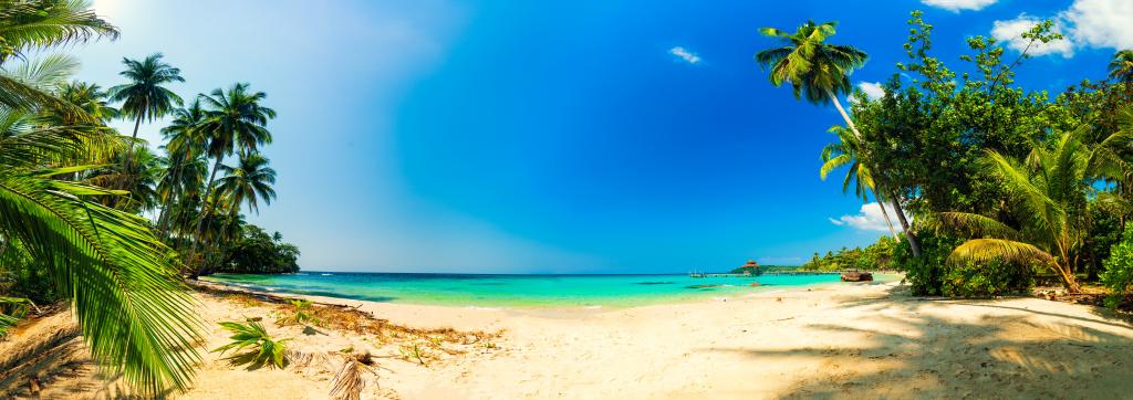 shutterstock_1320945587 (1).jpg