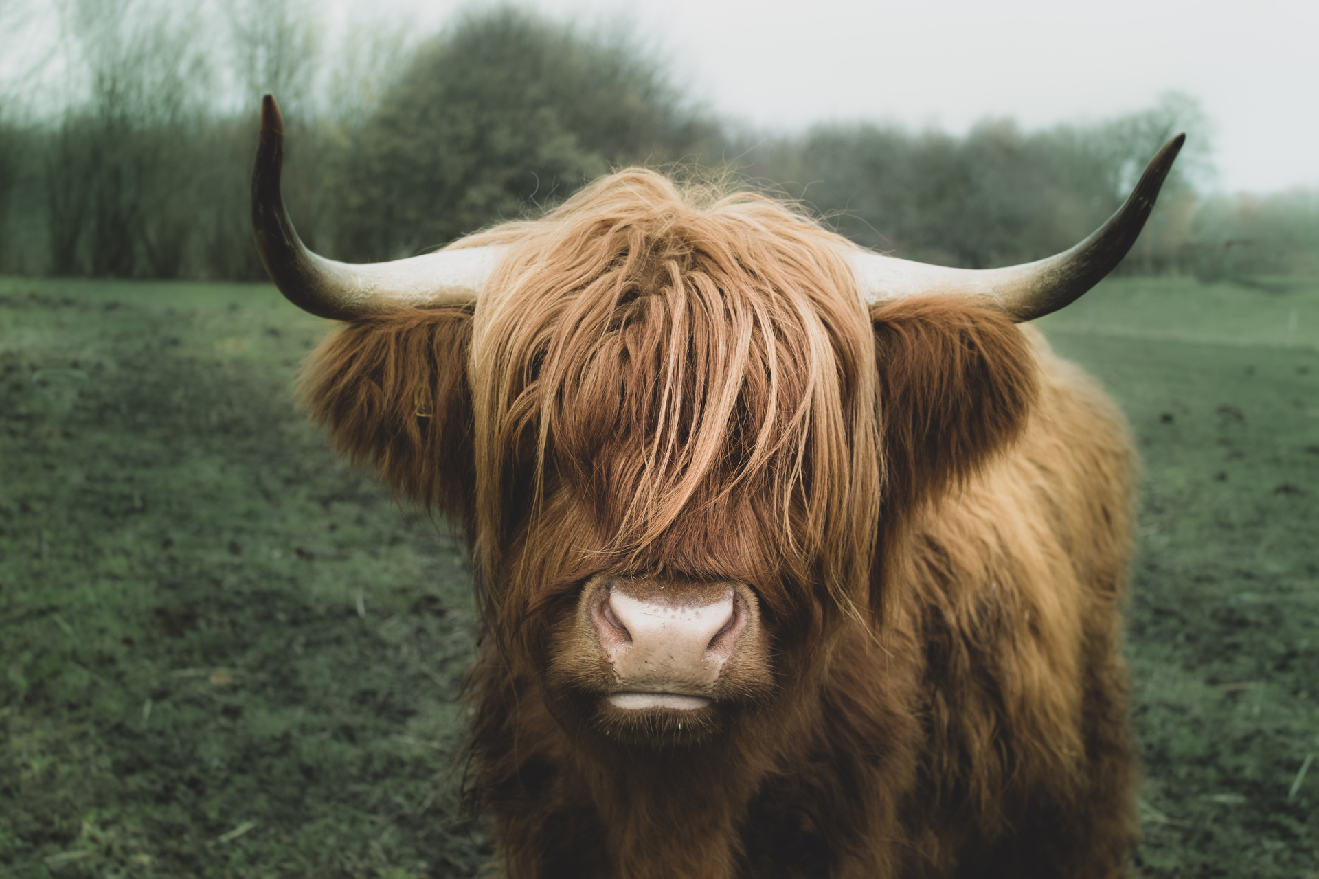 shutterstock_1447916444 (1).jpg