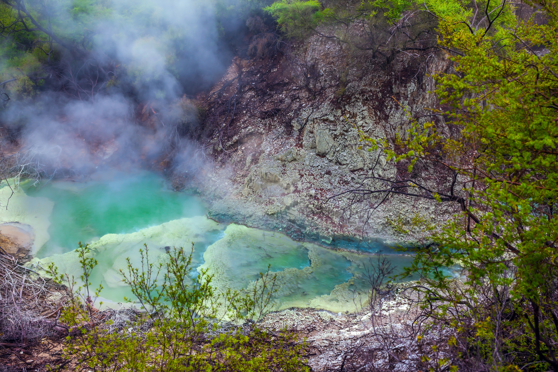 shutterstock_1793069332 (1).jpg