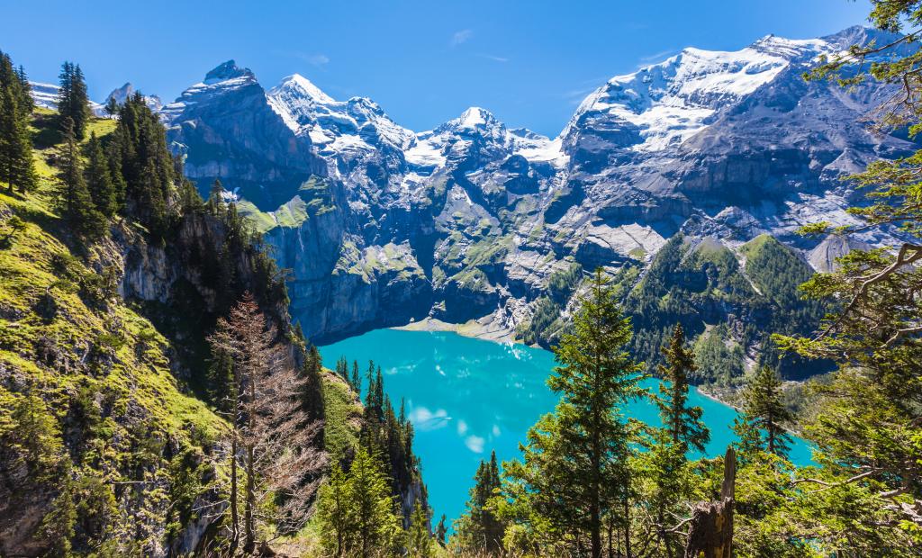 shutterstock_273787769 (1).jpg