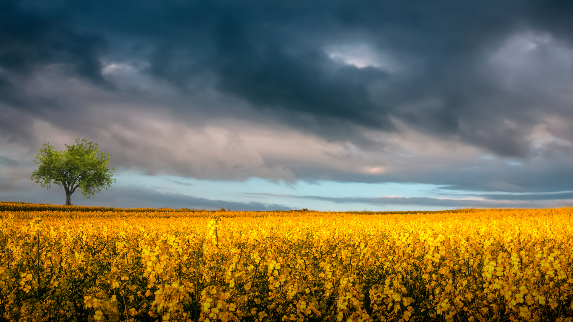 shutterstock_1340981825 (1).jpg