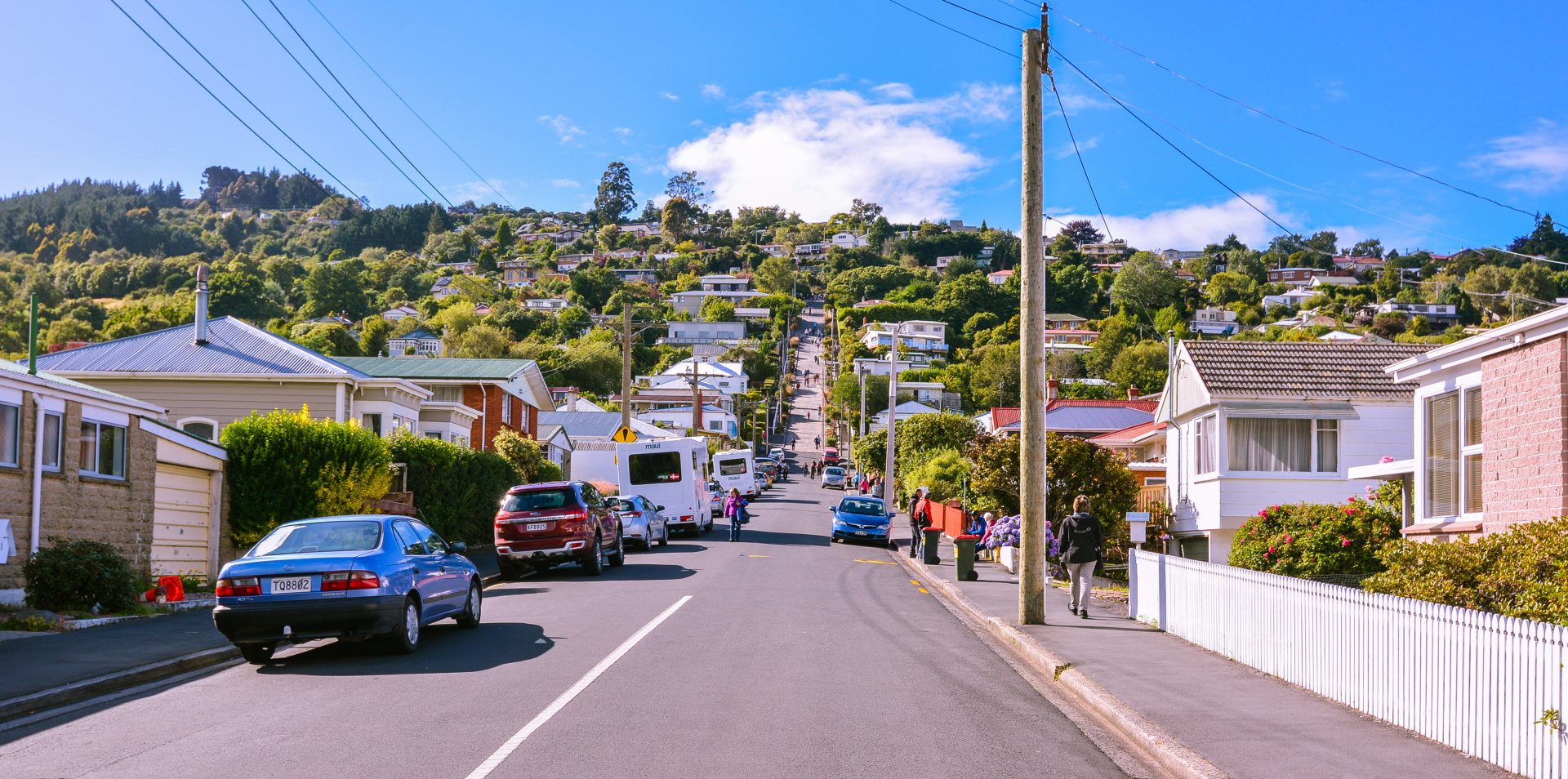 shutterstock_595416773 (1).jpg