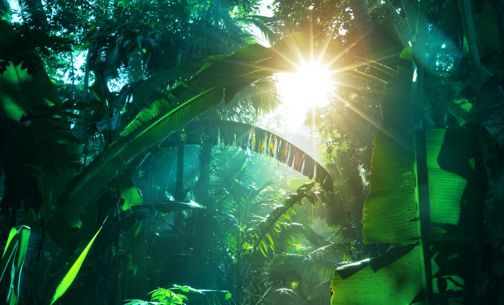 shutterstock_138744986 (1).jpg