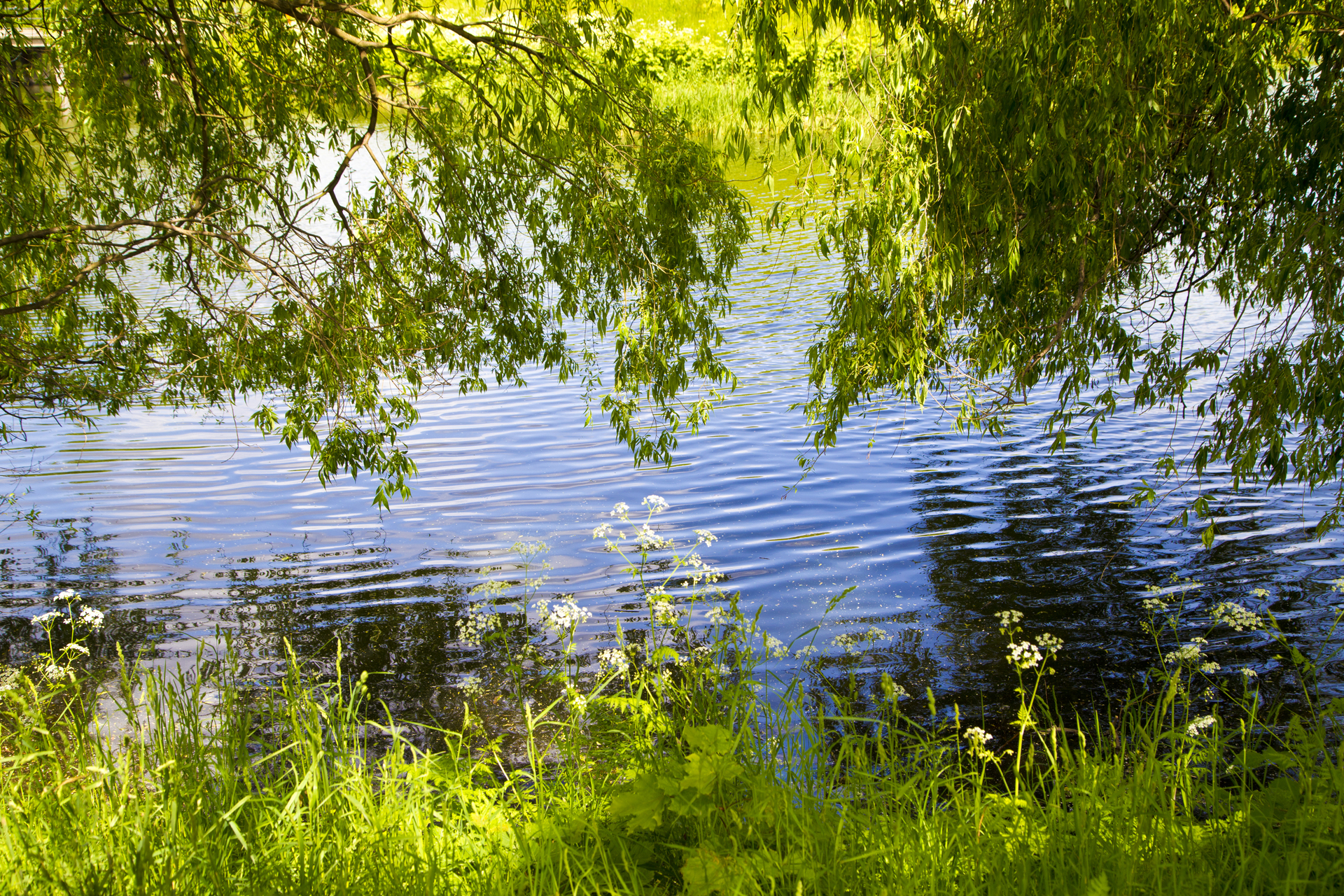 shutterstock_396473020 (1).jpg