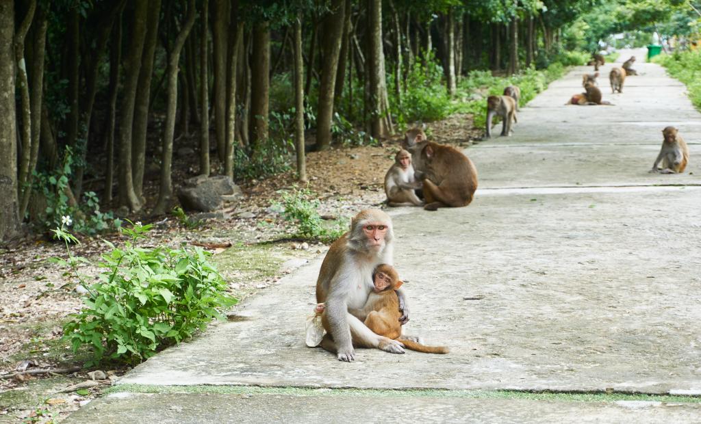 shutterstock_1566518452 (1).jpg